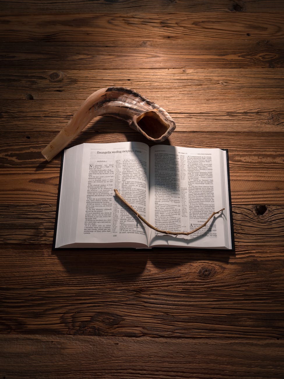 Read more about the article שיעור התקיעה בתקיעת שופר